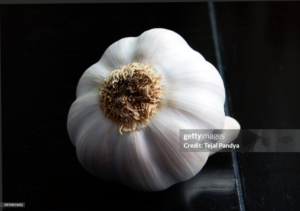 Garlic