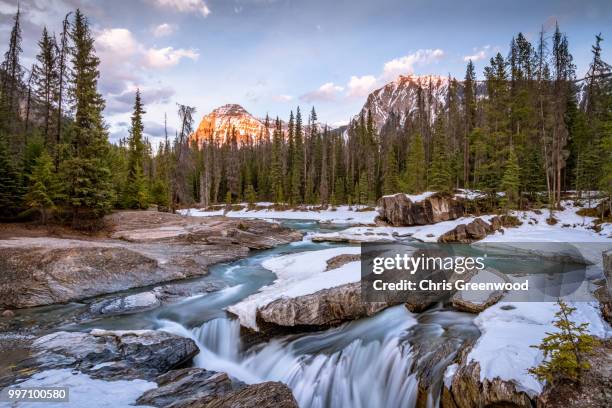 Kicking Rocks Stock Image Kicking Rocks Photos and Premium High Res Pictures - Getty Images