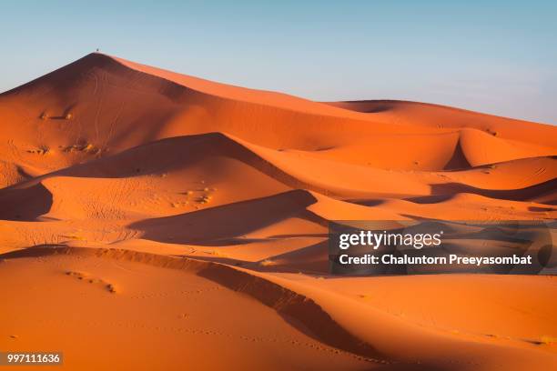 merzouga sahara - sahara stock pictures, royalty-free photos & images