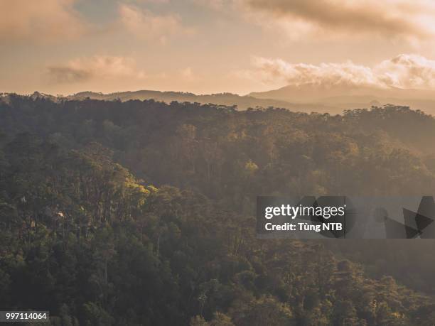 castelo dos mouros from above - ntb photos et images de collection