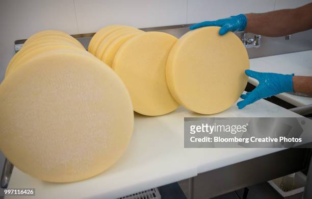 an employee puts a cheese wheel on a counter - käselaib stock-fotos und bilder