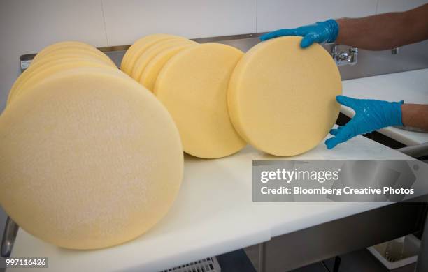 an employee puts a cheese wheel on a counter - wiel kaas stockfoto's en -beelden