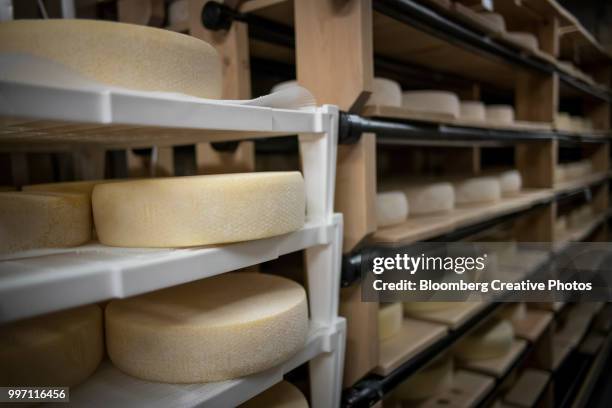 organic cheese wheels sit on shelves at a facility - wiel kaas stockfoto's en -beelden