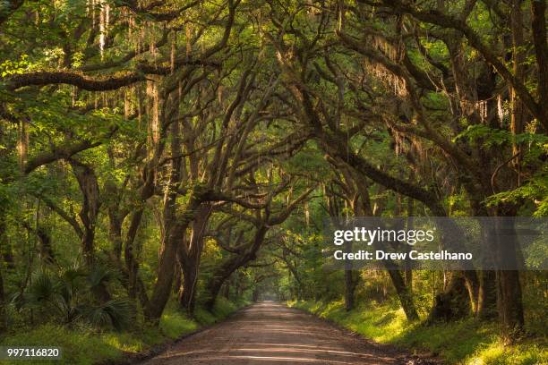 botany bay - botany bay stock pictures, royalty-free photos & images