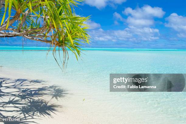 white beach on desert island in aitutaki, cook islands - aitutaki stock pictures, royalty-free photos & images