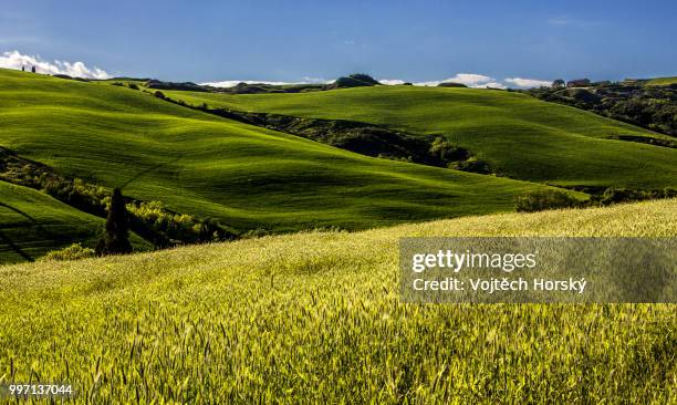 random valley in val d'orcia - val dorcia 個照片及圖片檔