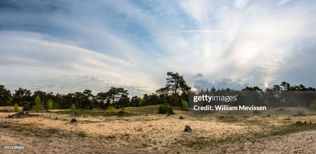 Panorama - Bosserheide