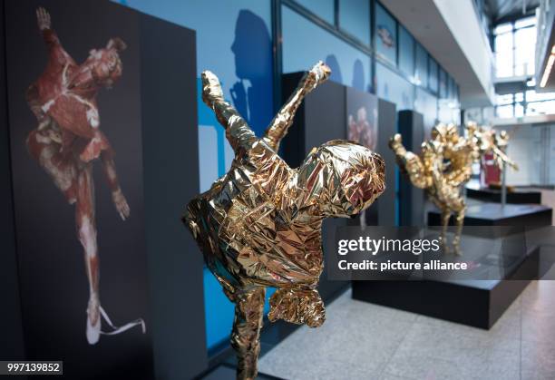 Gold-plated plastinated figures standing in the Menschen Museum during a press conference on the museum's shutting-down by a prohibition order from...