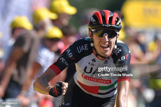 Arrival / Daniel Martin of Ireland and UAE Team Emirates / Celebration / during 105th Tour de France 2018, Stage 6 a 181km stage from Brest to...