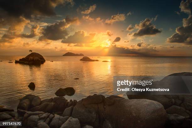 beautiful sunset landscape with sea gangway stones - kuznetsova stock pictures, royalty-free photos & images