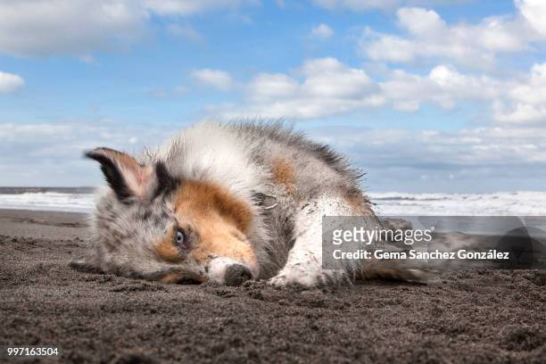 i love the sand in the beach - gemak stock pictures, royalty-free photos & images