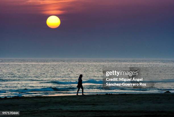 conil de la frontera,spain - frontera stock pictures, royalty-free photos & images