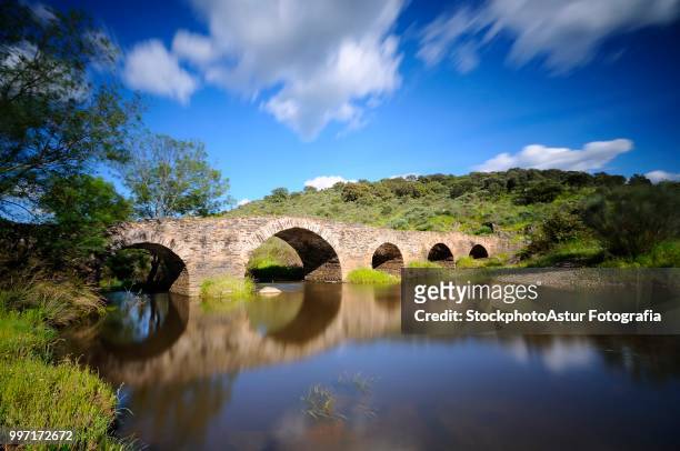 old bridge in torrejon el rubio in caceres. - fotografia stock pictures, royalty-free photos & images