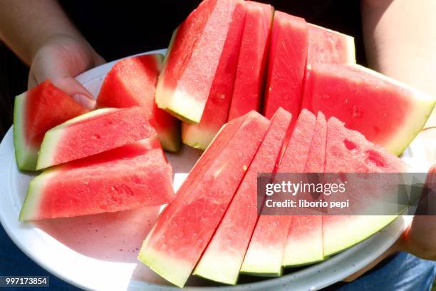 watermelon - liborio pepi 個照片及圖片檔