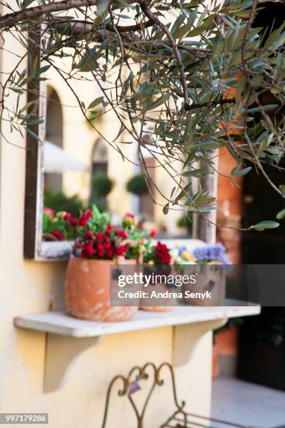 _mg_0910.jpg - fluting stock pictures, royalty-free photos & images