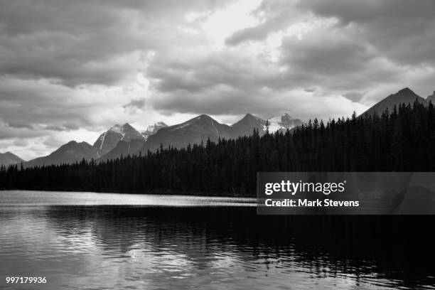 herbert lake around sunset (black & white) - white lake stock pictures, royalty-free photos & images