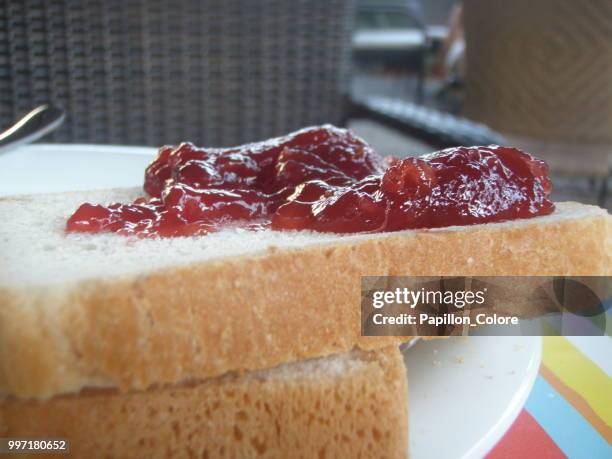 strawberry jam - papillon stock pictures, royalty-free photos & images