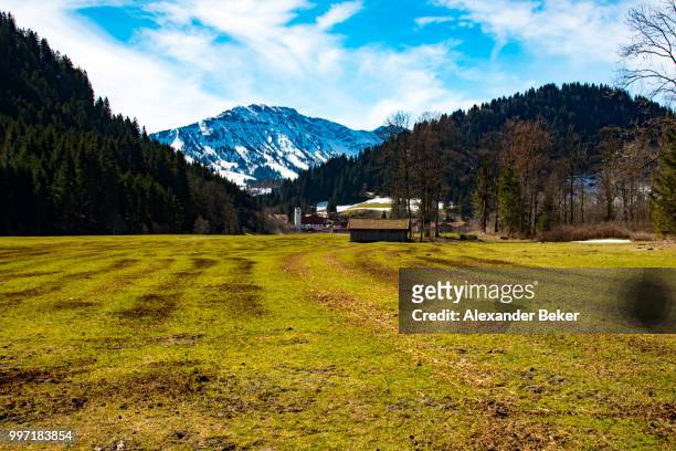 fantastic meadow and mountain in spring - germany - beker stock-fotos und bilder