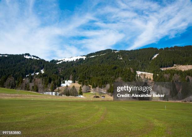 fantastic meadow and mountain in spring - germany - beker stock-fotos und bilder