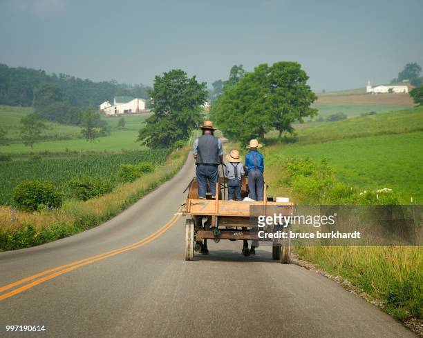 amish wagon going to market - rural ohio stock pictures, royalty-free photos & images