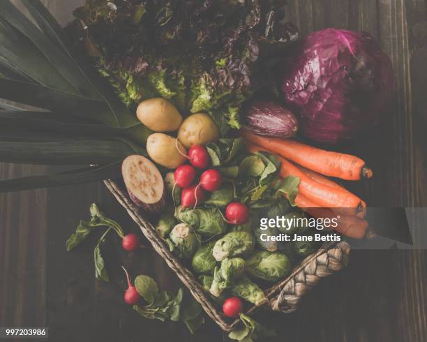 vegetable basket - jane boone stock-fotos und bilder