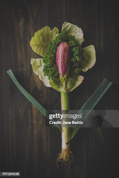 vegetable flower - jane boone stock-fotos und bilder