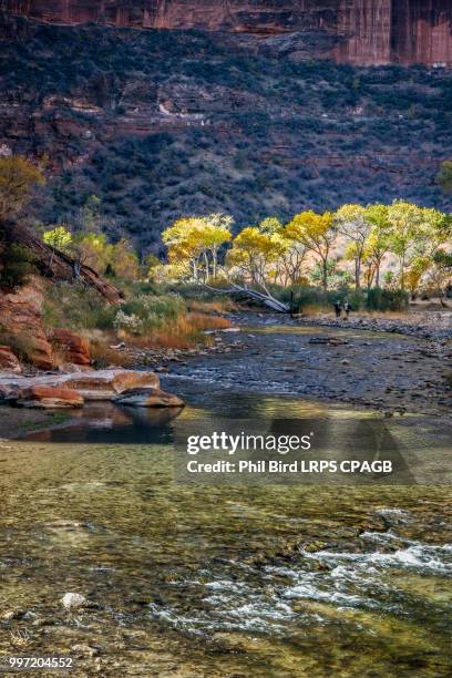 photographers walking along the virgin river - virgin river stock pictures, royalty-free photos & images