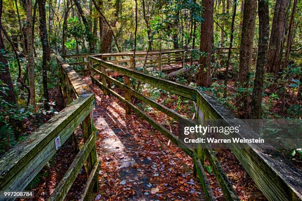 nature trail - weinstein stock pictures, royalty-free photos & images