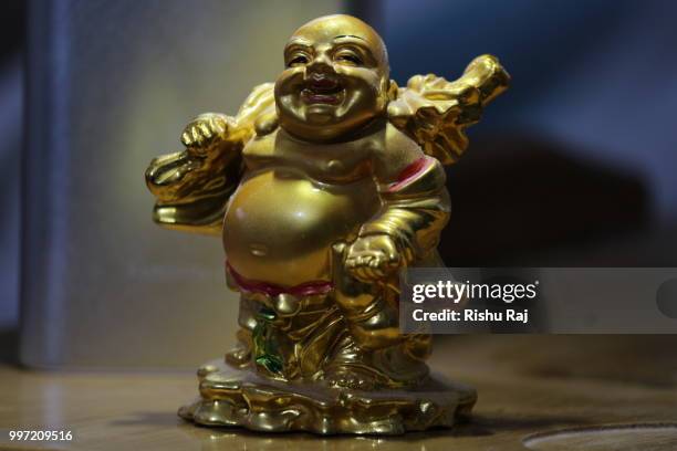 500px parents lord buddha macro photoshoot - idol stock-fotos und bilder