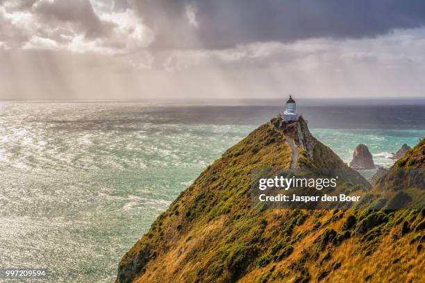 nugget point lighthouse - nugget point imagens e fotografias de stock