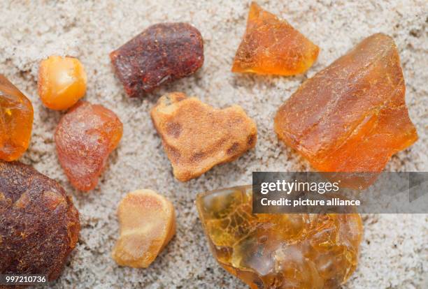 Differently coloured and sized ambers lie on the beach during sunny weather in Binz on the island of Ruegen, Germany, 13 October 2017. In the course...