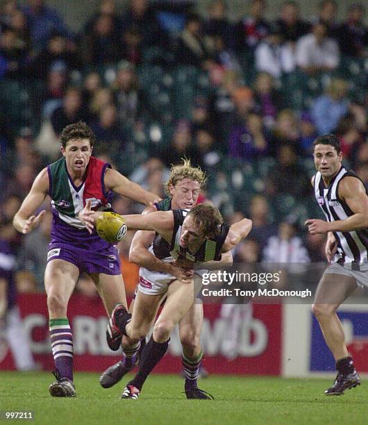 Justin Longmuir and Shaun McManus for Fremantle tackle Jarrod Molloy and Paul Licuria for Collingwood, in the match between the Fremantle Dockers and...