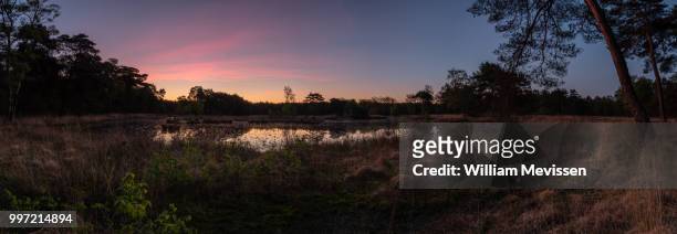 panorama 'twilight circle' - william mevissen stockfoto's en -beelden