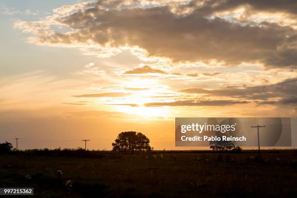 atardecer en el campo. - atardecer stockfoto's en -beelden