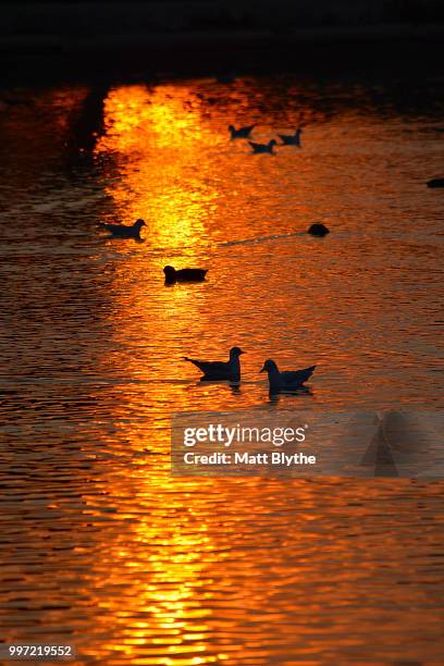 the boating lake at dusk - blythe stock pictures, royalty-free photos & images