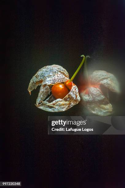 solitary existence - horn rimmed glasses stock illustrations stock pictures, royalty-free photos & images