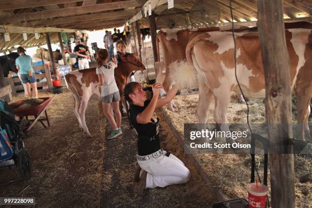 Dana Sickles prepares her cow for judging at the Iowa County Fair on July 12, 2018 in Marengo, Iowa. The fair, like many in counties throughout the...