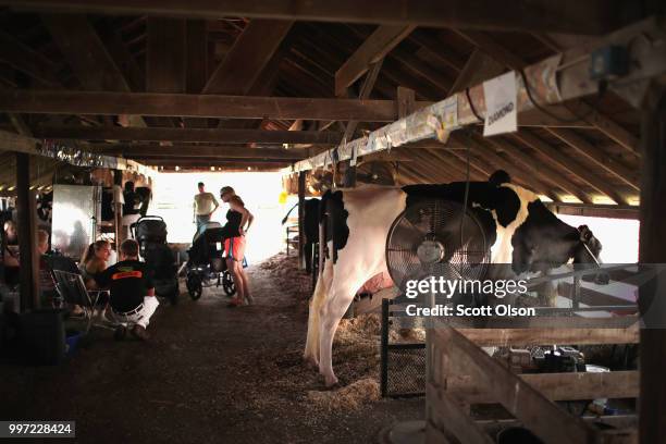 Farm families sit with their dairy cows while they wait for judging to begin at the Iowa County Fair on July 12, 2018 in Marengo, Iowa. The fair,...