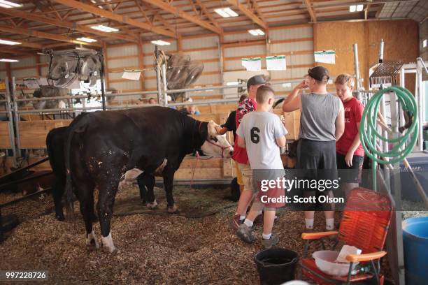 Young farmers prepare their cows while they wait for judging to begin at the Iowa County Fair on July 12, 2018 in Marengo, Iowa. The fair, like many...