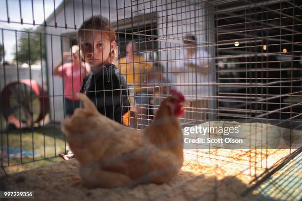 Lily Britten waits for her chicken, which she named Ginger, to be judged at the Iowa County Fair on July 12, 2018 in Marengo, Iowa. The fair, like...