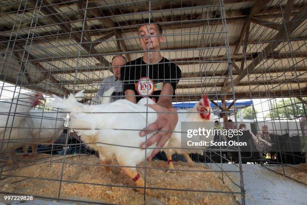 Ty Buresh presents his chickens for judging at the Iowa County Fair on July 12, 2018 in Marengo, Iowa. The fair, like many in counties throughout the...