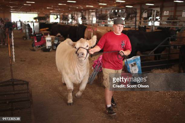 Jack Butler prepares his cow for judging at the Iowa County Fair on July 12, 2018 in Marengo, Iowa. The fair, like many in counties throughout the...
