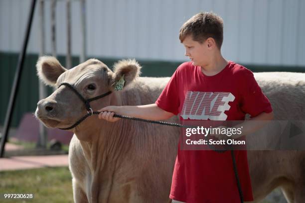 Luke Butler prepares his cow for judging at the Iowa County Fair on July 12, 2018 in Marengo, Iowa. The fair, like many in counties throughout the...