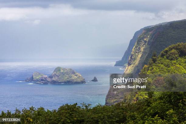 polulu valley vista on big island hawaii - suzi pratt stock pictures, royalty-free photos & images