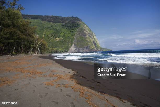 waipio valley black sand beach in hawaii - suzi pratt stock pictures, royalty-free photos & images