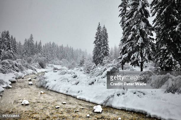 dolomites snow storm - peter snow stock pictures, royalty-free photos & images