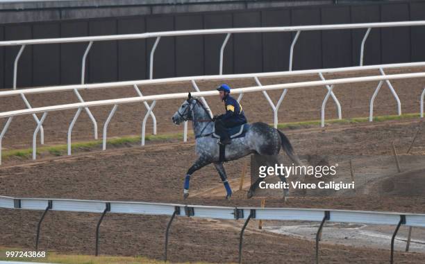 Tommy Berry riding Chautauqua heads to the barriers before jumping successfully in a barrier trial at Flemington Racecourse on July 13, 2018 in...