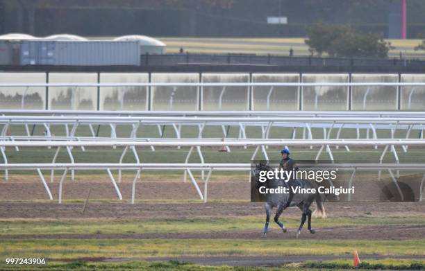 Tommy Berry riding Chautauqua heads to the barriers before jumping successfully in a barrier trial at Flemington Racecourse on July 13, 2018 in...