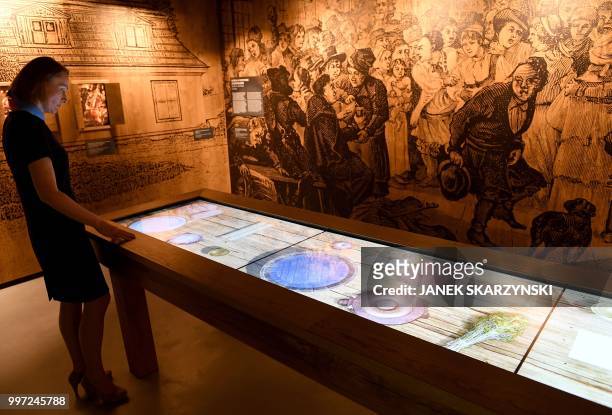 In this file photo taken on June 06, 2018 A visitor walks through the Polish Vodka Museum on June 6 a new museum that will open next week, in Warsaw....