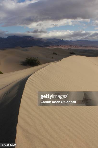 mesquite flat sand dunes - death valley - mesquite flat dunes stock pictures, royalty-free photos & images